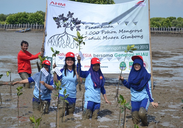 Ratusan Sahabat Satu Hati Tanam 1.000 Mangrove tahun 2015 di Bekasi(4)