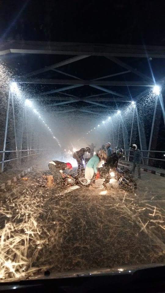 jutaan laron menyerang jembatan mengkreng dj Kertosono hari minggu 3 juli 2016
