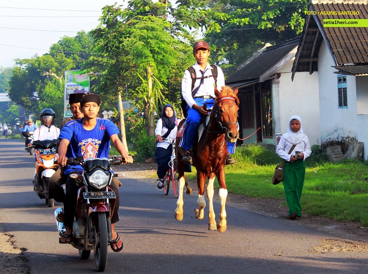 ulil albab pelajar SMPIT Ibnu Sina wuluhan jember pergi ke sekolah naik kuda (1)