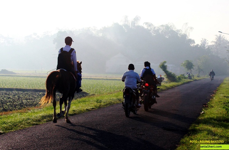 ulil albab pelajar SMPIT Ibnu Sina wuluhan jember pergi ke sekolah naik kuda (3)