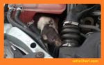 Cara ampuh usir tikus bersarang diruang mesin mobil brosis