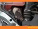Cara ampuh usir tikus bersarang diruang mesin mobil brosis