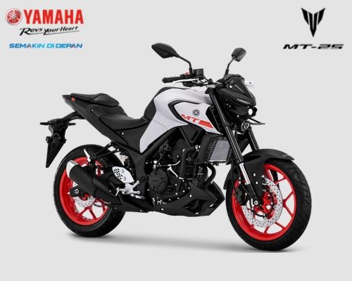 Pilihan warna Yamaha MT-25 tahun 2019