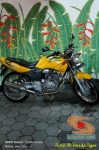 Kumpulan foto nostalgia Honda Tiger 2000 warna kuning brosis.. (11)